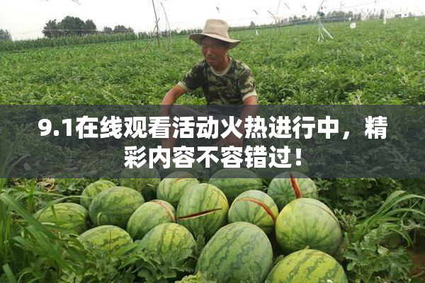 9.1在线观看活动火热进行中，精彩内容不容错过！