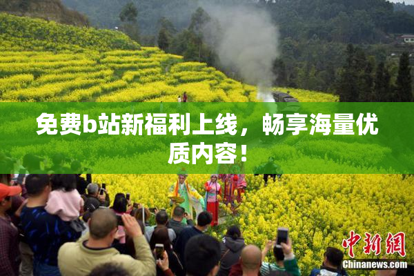 免费b站新福利上线，畅享海量优质内容！
