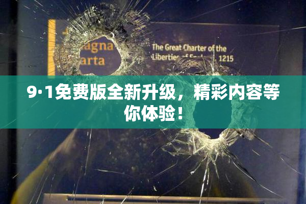 9·1免费版全新升级，精彩内容等你体验！