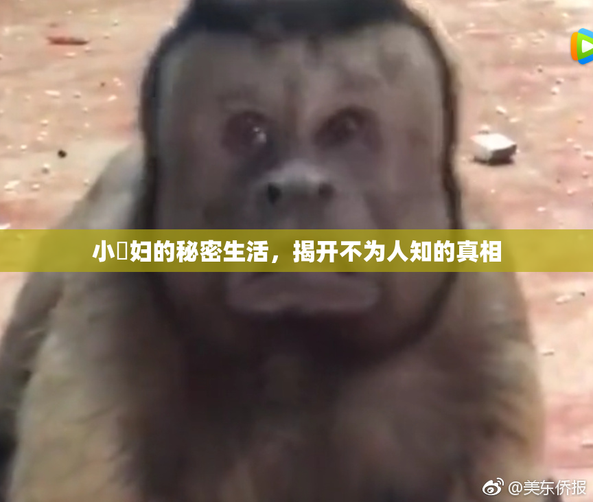 小婬妇的秘密生活，揭开不为人知的真相