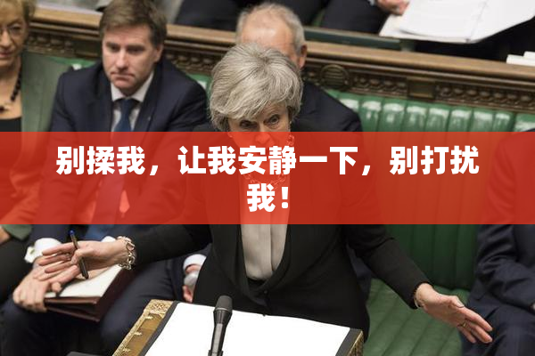 别揉我，让我安静一下，别打扰我！