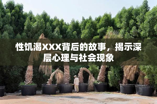 性饥渴XXX背后的故事，揭示深层心理与社会现象