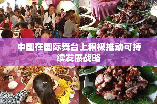 中国在国际舞台上积极推动可持续发展战略