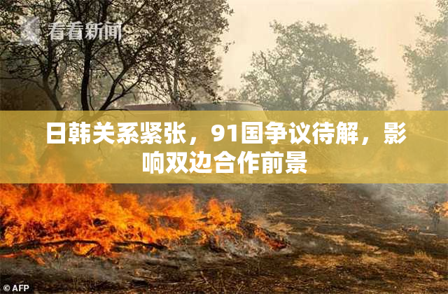 日韩关系紧张，91国争议待解，影响双边合作前景