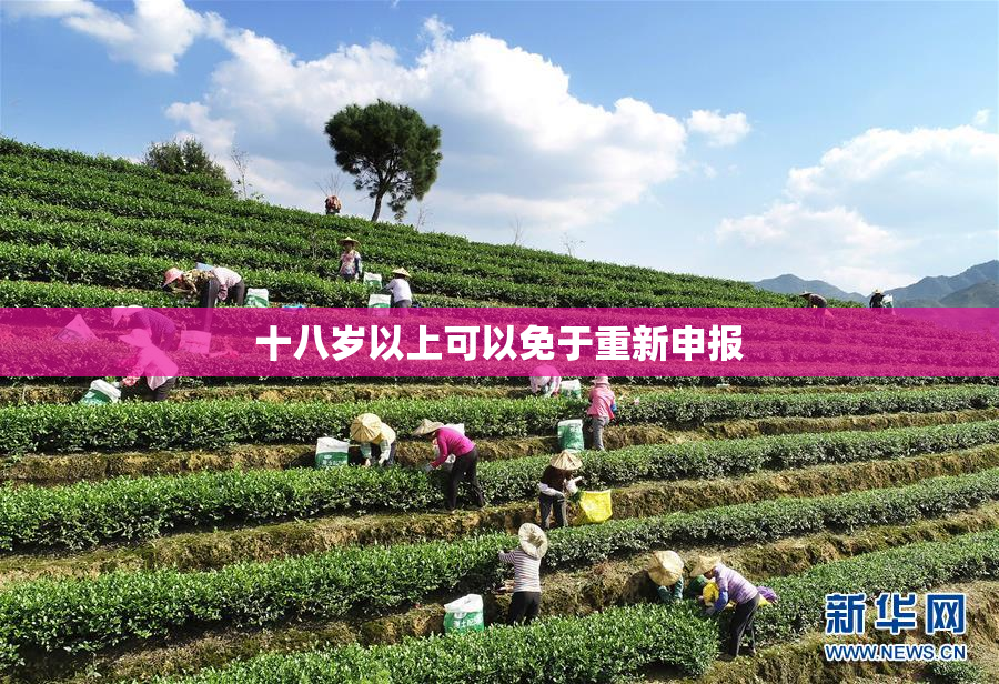 十八岁以上可以免于重新申报