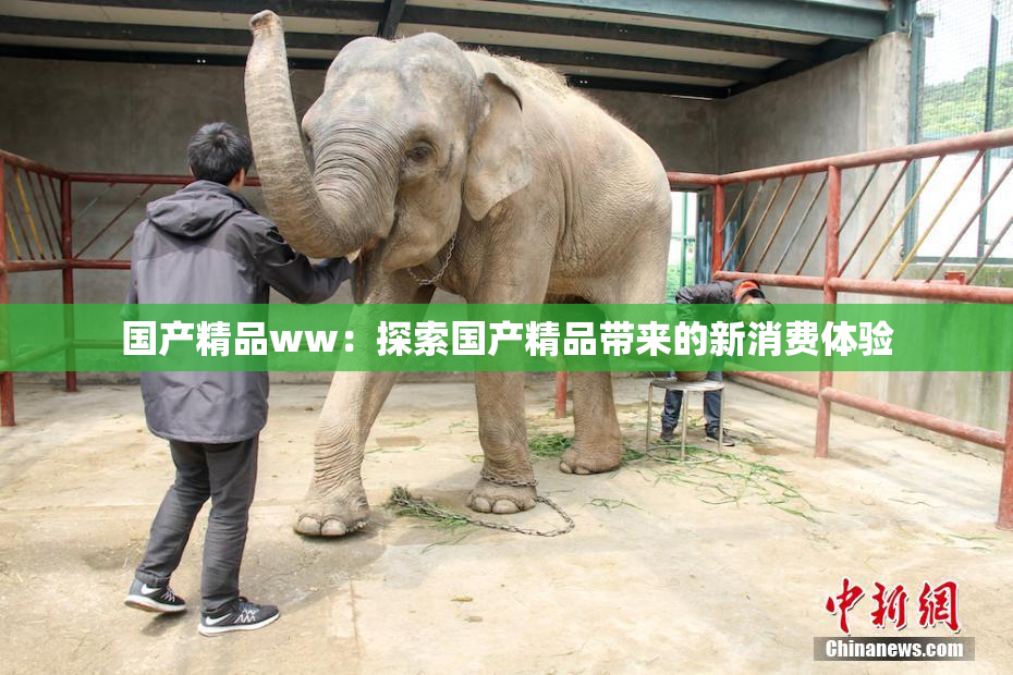 国产精品ww：探索国产精品带来的新消费体验