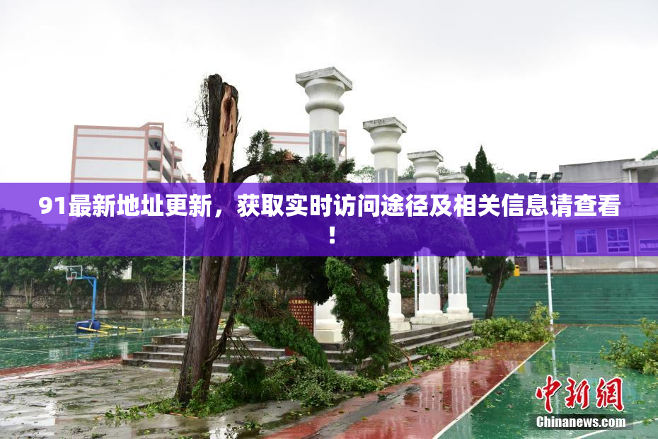 91最新地址更新，获取实时访问途径及相关信息请查看！