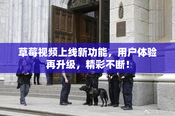 草莓视频上线新功能，用户体验再升级，精彩不断！