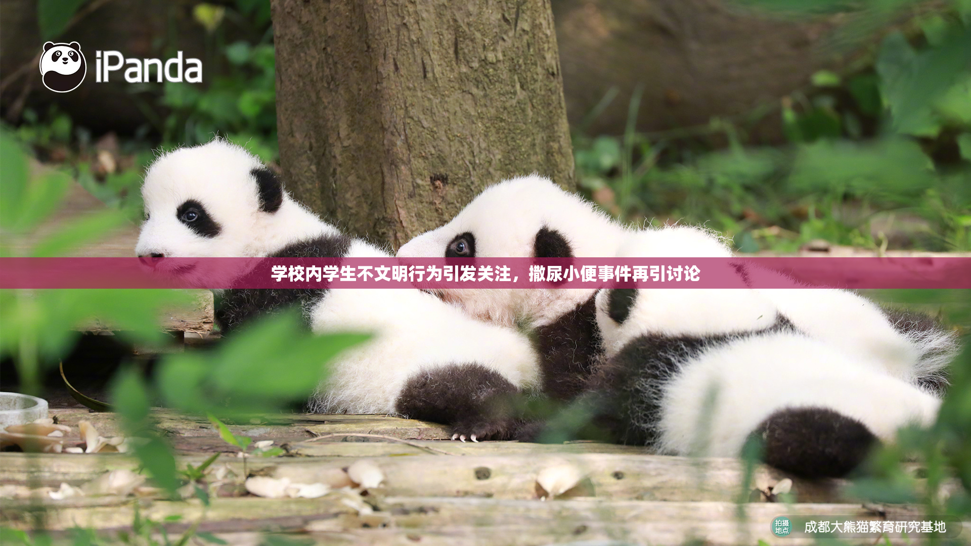 学校内学生不文明行为引发关注，撒尿小便事件再引讨论