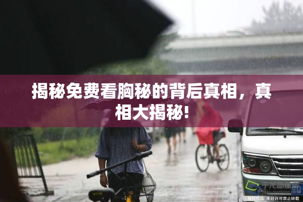 揭秘免费看胸秘的背后真相，真相大揭秘!