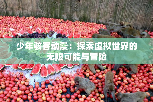 少年骇客动漫：探索虚拟世界的无限可能与冒险