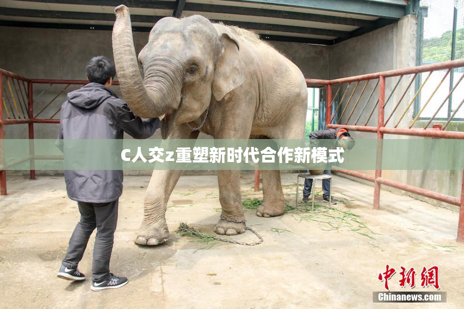 C人交z重塑新时代合作新模式