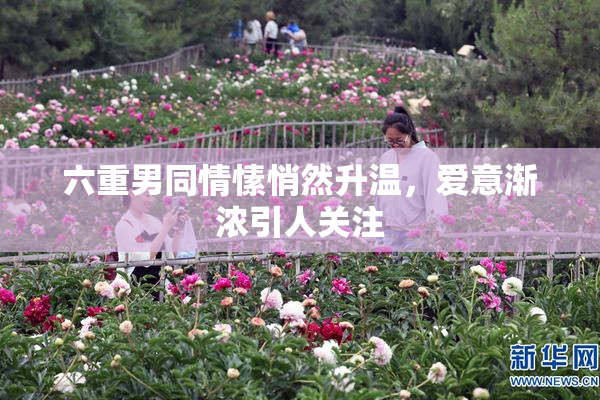 六重男同情愫悄然升温，爱意渐浓引人关注