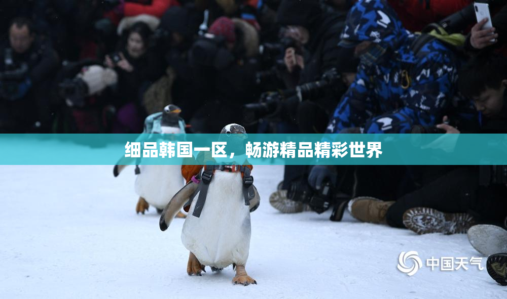 细品韩国一区，畅游精品精彩世界