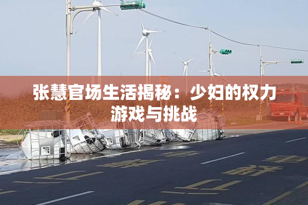 张慧官场生活揭秘：少妇的权力游戏与挑战