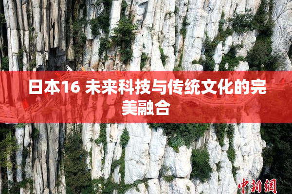 日本16 未来科技与传统文化的完美融合