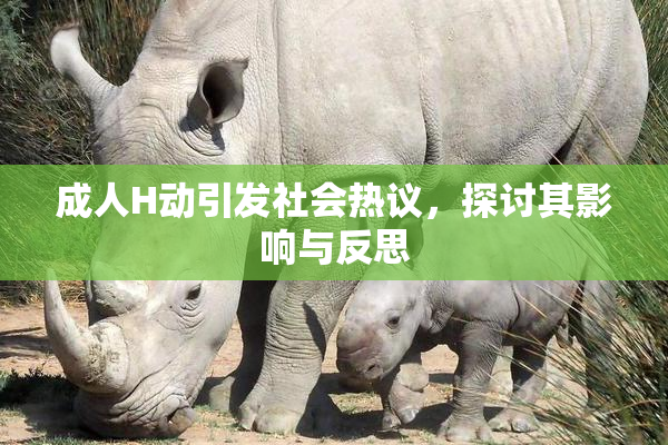 成人H动引发社会热议，探讨其影响与反思