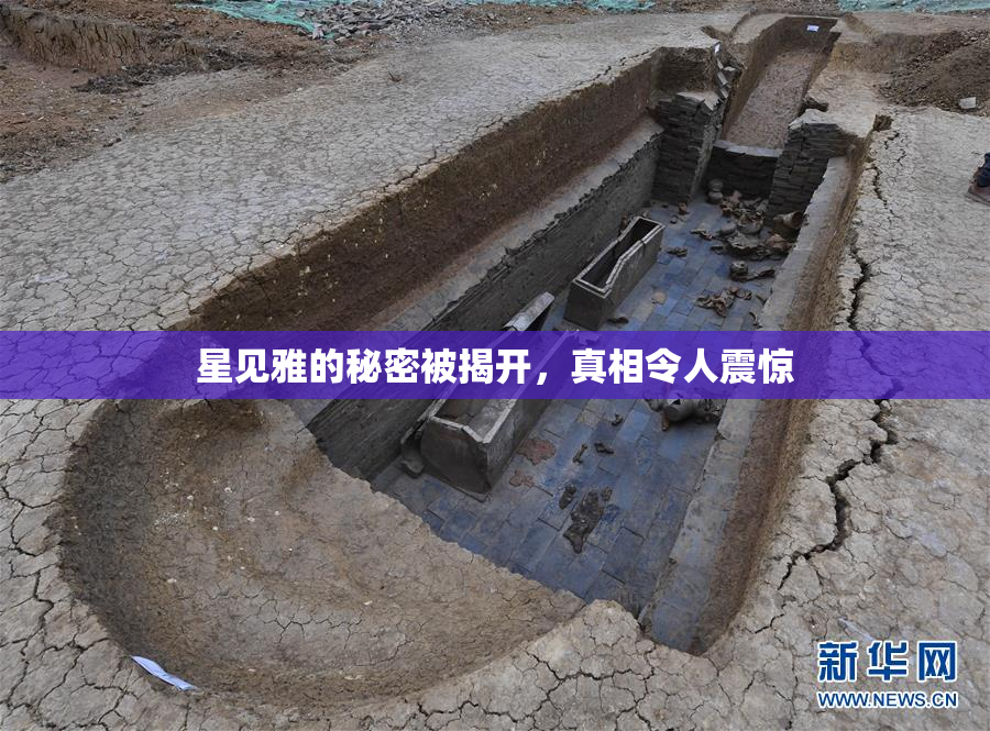 星见雅的秘密被揭开，真相令人震惊
