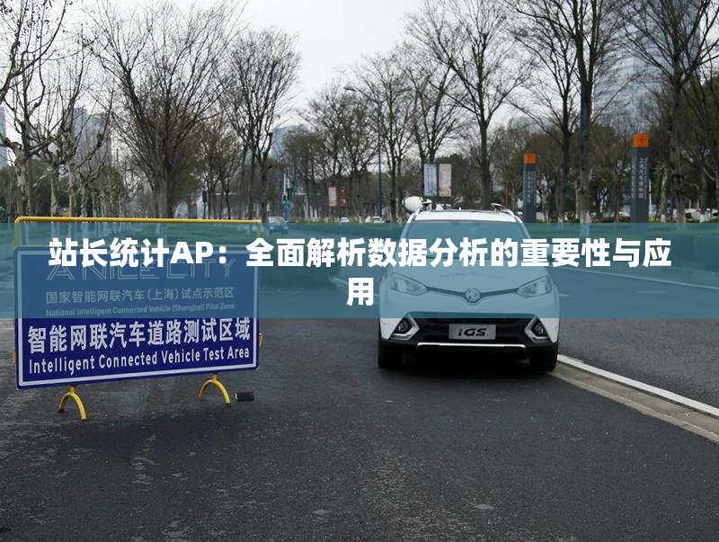 站长统计AP：全面解析数据分析的重要性与应用
