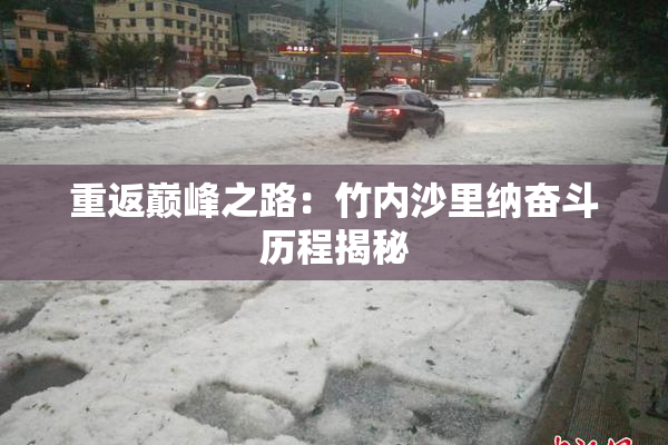 重返巅峰之路：竹内沙里纳奋斗历程揭秘
