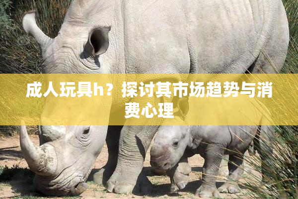 成人玩具h？探讨其市场趋势与消费心理