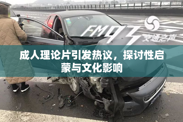 成人理论片引发热议，探讨性启蒙与文化影响