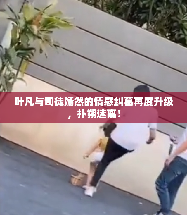 叶凡与司徒嫣然的情感纠葛再度升级，扑朔迷离！