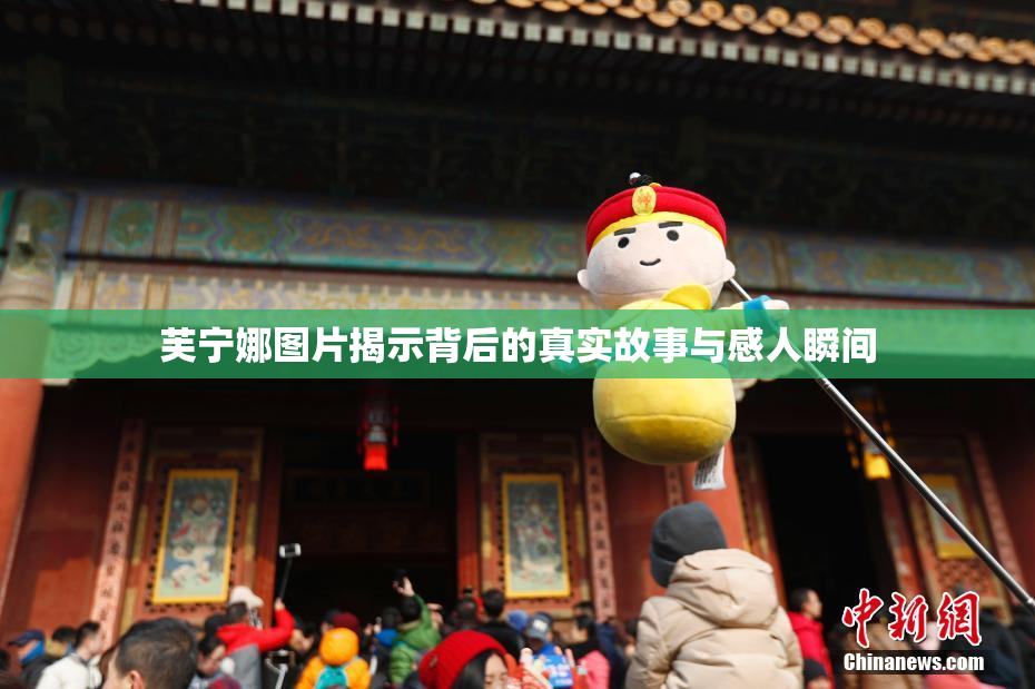 芙宁娜图片揭示背后的真实故事与感人瞬间