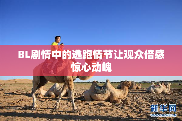 BL剧情中的逃跑情节让观众倍感惊心动魄