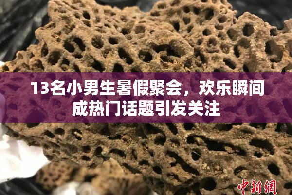 13名小男生暑假聚会，欢乐瞬间成热门话题引发关注