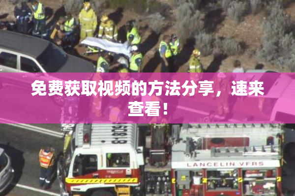 免费获取视频的方法分享，速来查看！