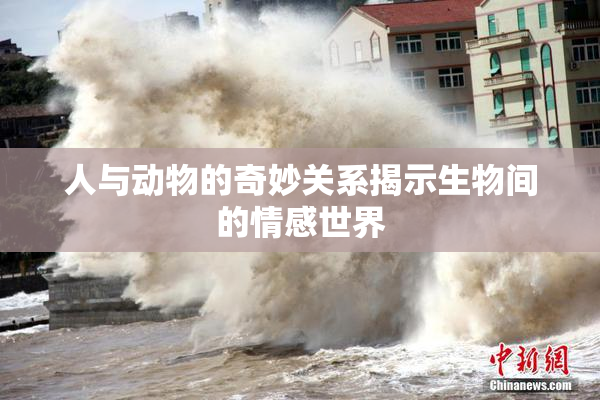 人与动物的奇妙关系揭示生物间的情感世界