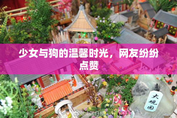 少女与狗的温馨时光，网友纷纷点赞