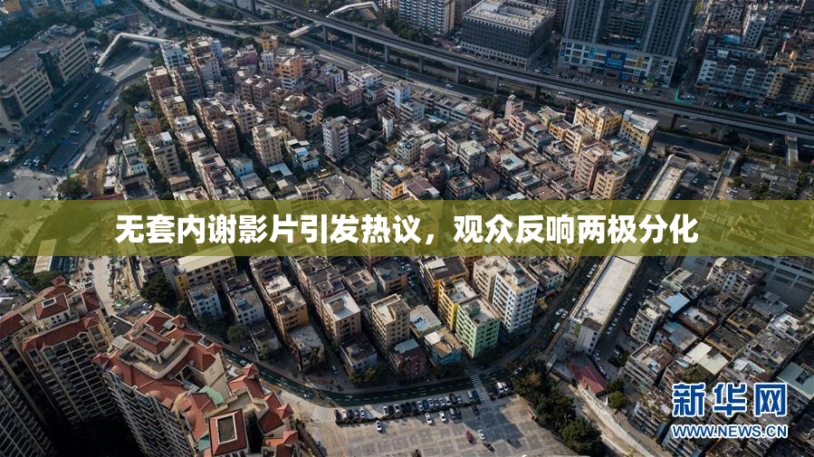 无套内谢影片引发热议，观众反响两极分化