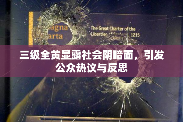 三级全黄显露社会阴暗面，引发公众热议与反思