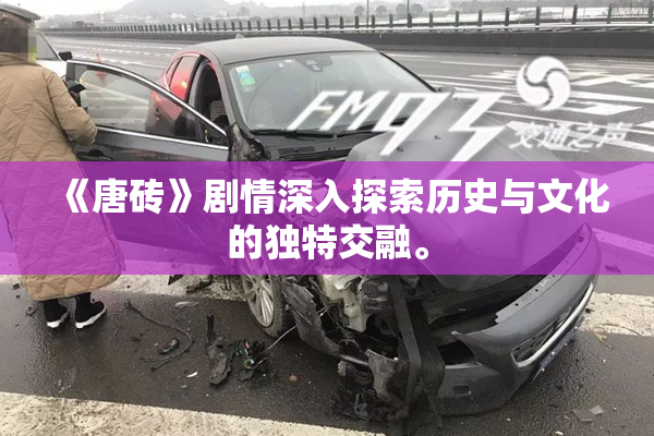 《唐砖》剧情深入探索历史与文化的独特交融。