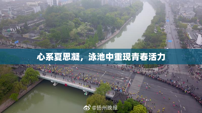 心系夏思凝，泳池中重现青春活力