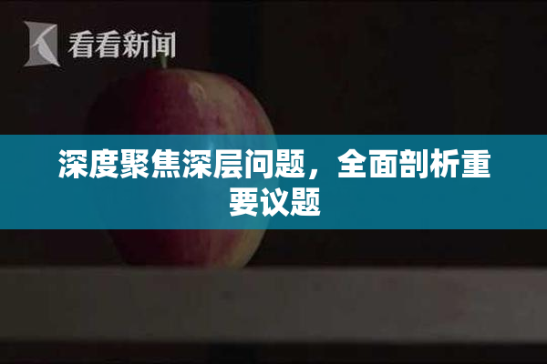 深度聚焦深层问题，全面剖析重要议题
