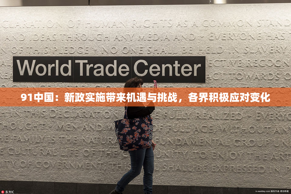 91中国：新政实施带来机遇与挑战，各界积极应对变化