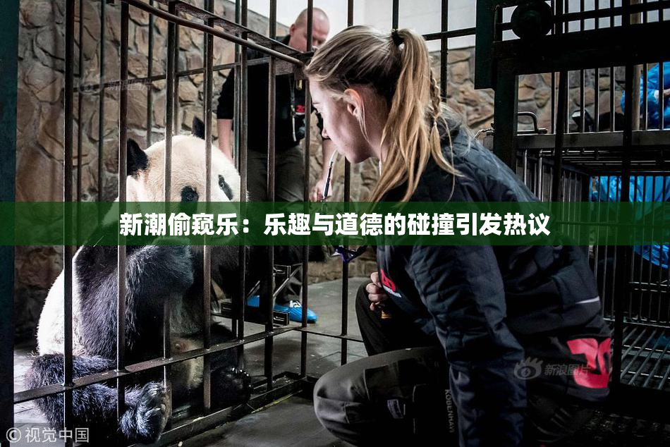 新潮偷窥乐：乐趣与道德的碰撞引发热议