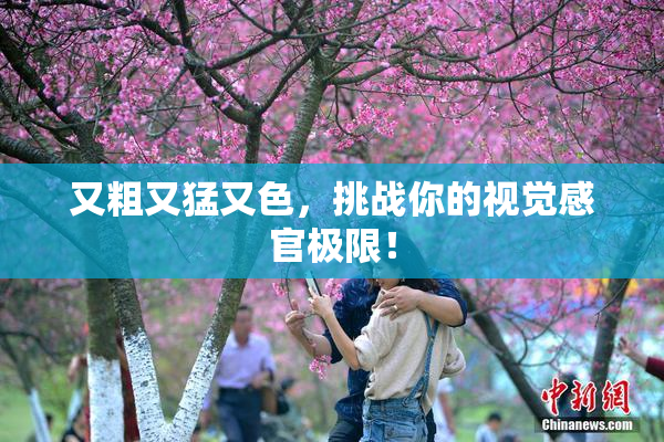 又粗又猛又色，挑战你的视觉感官极限！