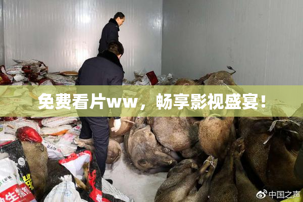 免费看片ww，畅享影视盛宴！