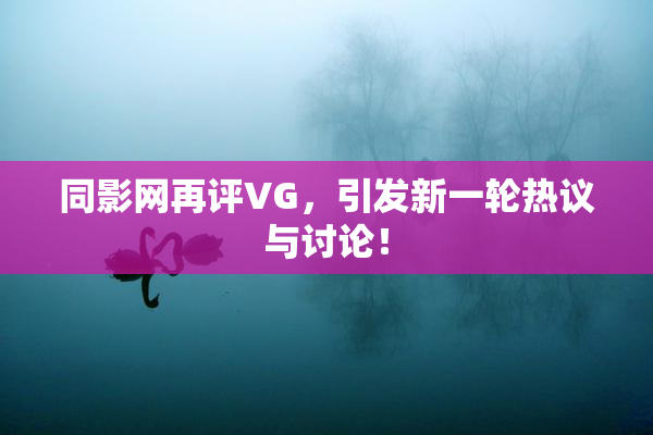同影网再评VG，引发新一轮热议与讨论！