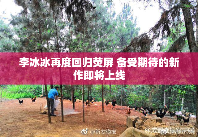 李冰冰再度回归荧屏 备受期待的新作即将上线