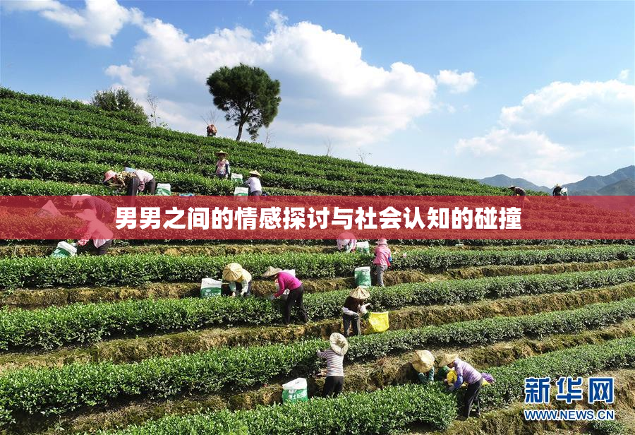 男男之间的情感探讨与社会认知的碰撞