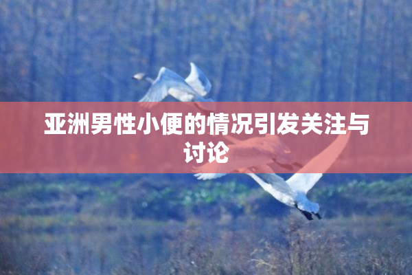 亚洲男性小便的情况引发关注与讨论