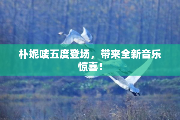 朴妮唛五度登场，带来全新音乐惊喜！
