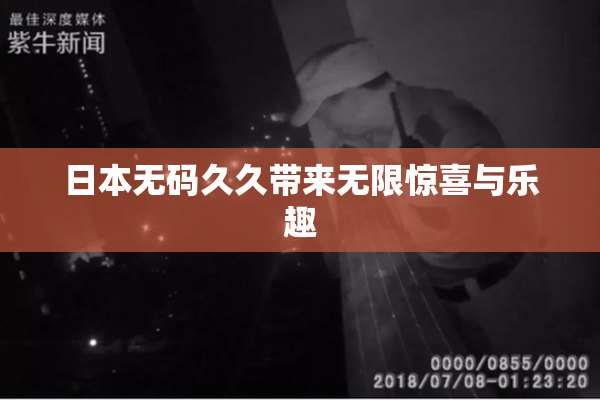 日本无码久久带来无限惊喜与乐趣