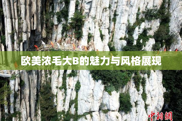 欧美浓毛大B的魅力与风格展现