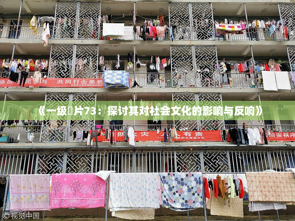 《一级婬片73：探讨其对社会文化的影响与反响》